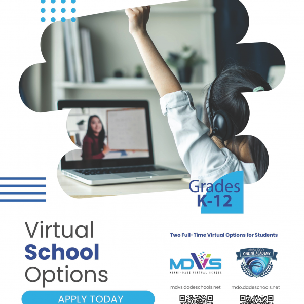 Virtual School Advertisement